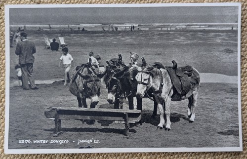 Whitby donkeys beach - donkeys, at
