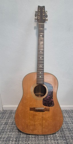Washburn d25sn dreadnought - washburn,