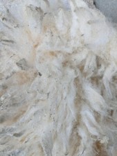 RAW TEXEL X FLEECE 2KG