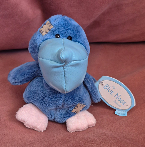 Blue nose friends sue - blue,