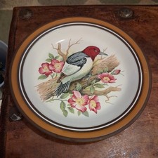 Hornsea Pottery Contour