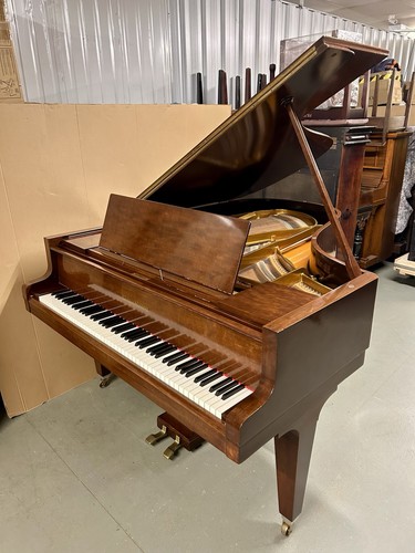 Grotrian steinweg model 185 - steinweg,