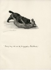 COCKER SPANIEL TAKES ON IRISH