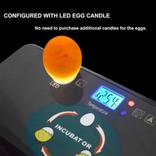 Digital Egg Hatchery Machine
