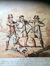 Hunting Shooting 6 Prints Dogs