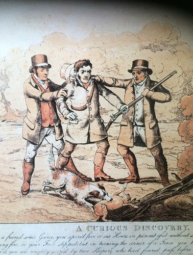 Hunting shooting prints dogs - hunting,