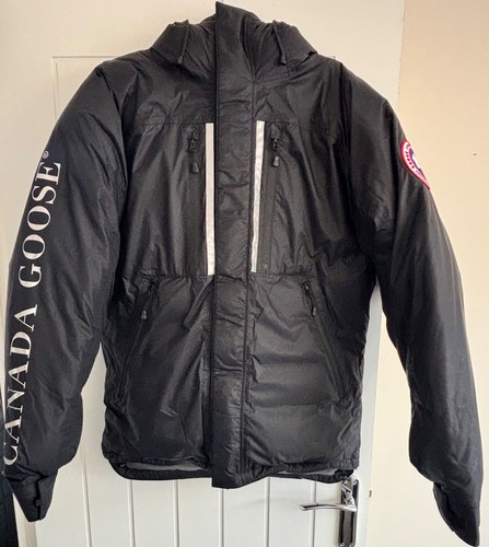 Canada goose skreslet - canada,