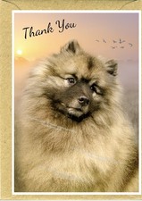 Keeshond Dog Thank You Card