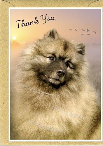 Keeshond dog thank you - keeshond, card