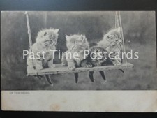  c1903 Tucks Animal Stidies -