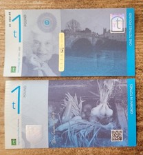One Totnes Pound, Mary Wesley CBE, Uncirculated