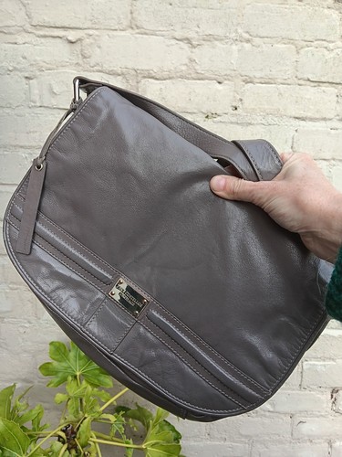 Paul costelloe dressage - paul,