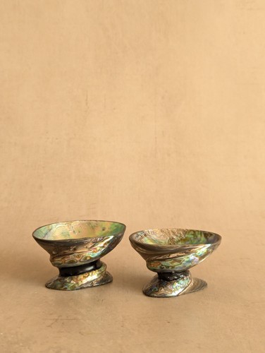 Abalone vintage paua shell - vintage,