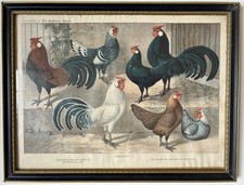 Antique Victorian Feathered