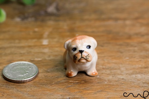 Handmade ceramic bulldog - ceramic,