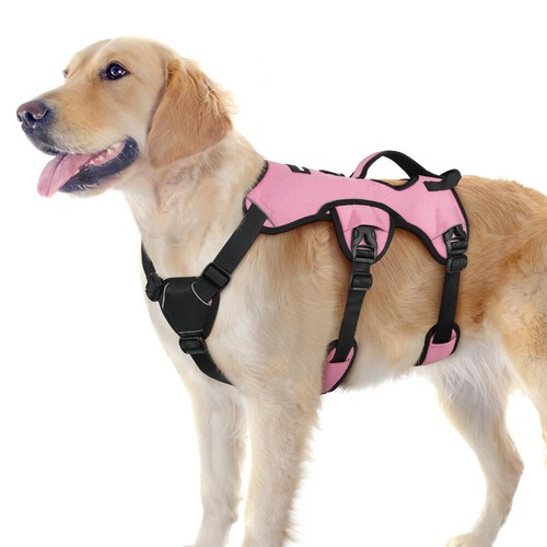 Rabbitgoo escape proof - rabbitgoo,