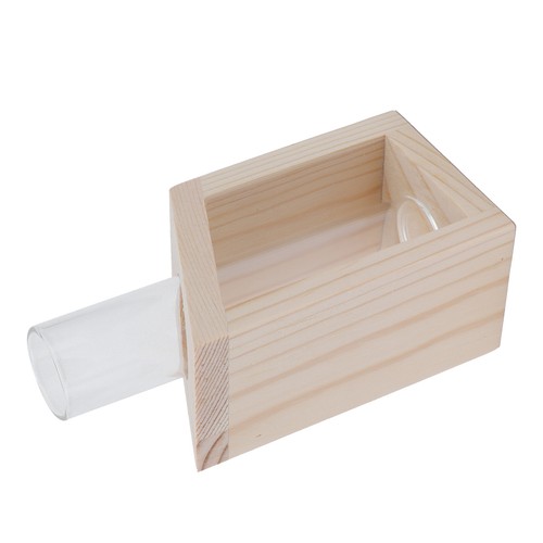 Tube glass vase - vase, hydroponic