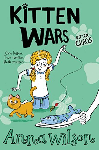 Kitten wars - kitten, (kitten