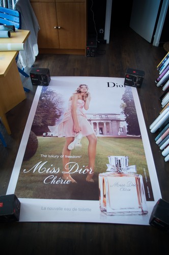 Dior lily donaldson french - lily,