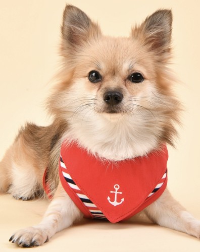 Puppia seaman nautical - puppia,