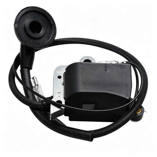 Ignition coil for - ignition,