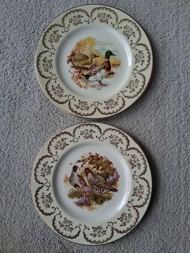 Decorative bird design plates - bird,