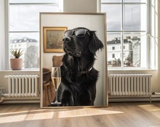 Trendy Black Golden Retriever