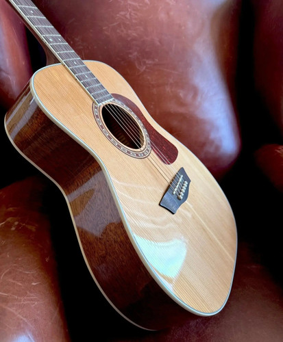 Washburn f11s folk - f11s,