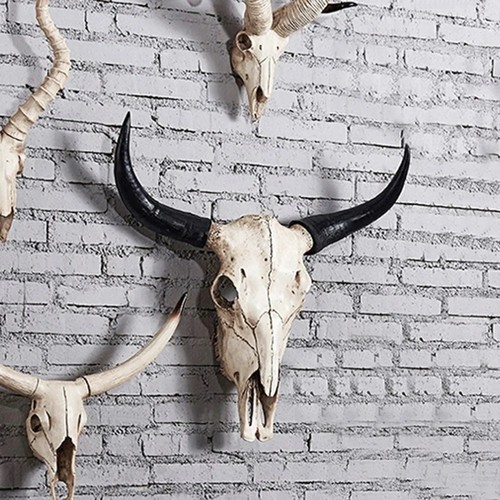 Bull horns wall - wall, head