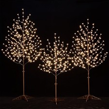 Lighted cherry blossom tree - blossom,