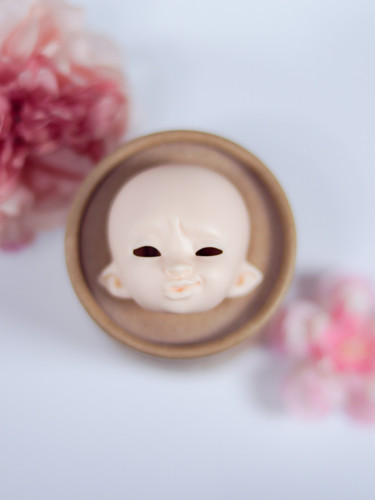 Pukifee kaka event face - pukifee,