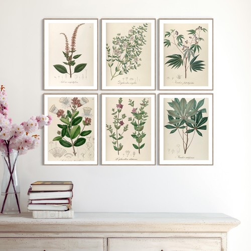 Set heritage botanical - heritage,