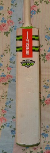 Gray nicolls evo slayer - gray,