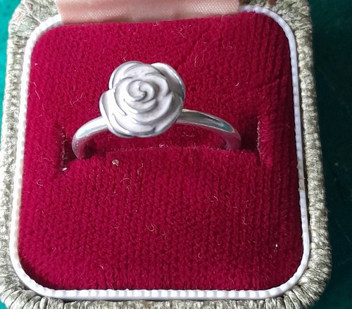 Pandora rose garden enamel