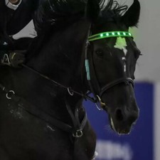 LED Luminous Browband Horse