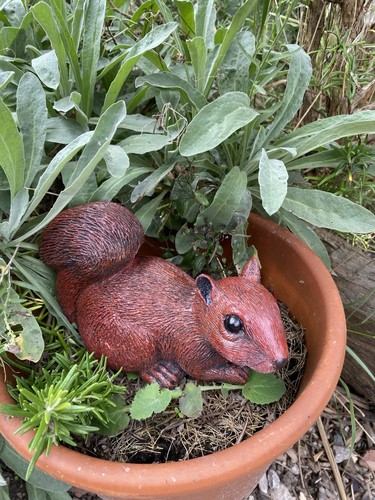Squirrel statue - squirrel,