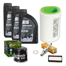 Yamaha Grizzly 350cc Service