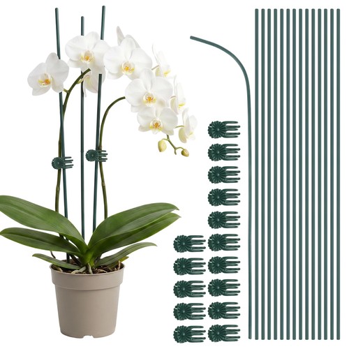 Pcs orchid sticks and clips - 30,