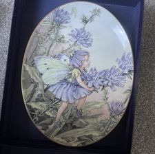 Royal Worcester Flower Fairies