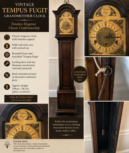 Vintage tempus fugit - tempus,