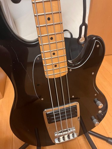 Ibanez atk series electric - ibanez,
