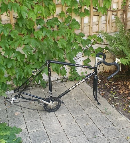 Raleigh record sprint gold - raleigh,