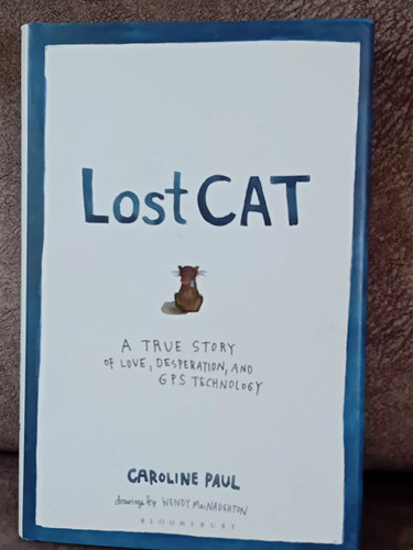 Caroline paul lost cat - caroline,