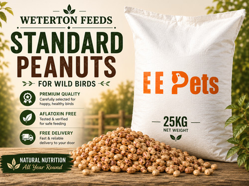 Peanuts 25kg wild - , birds