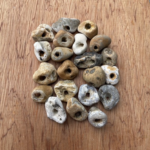 Twenty natural hag stones - natural,