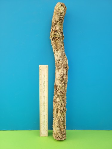 Cork bark branch 54cm - cork, snake