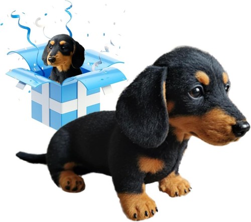 2026 dachshund sausage - dachshund, dog