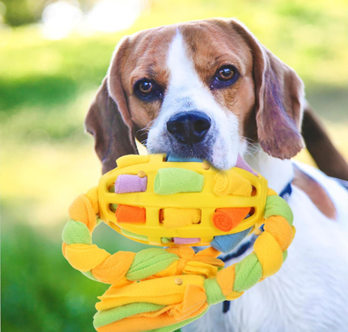 New interactive snuffle - interactive,