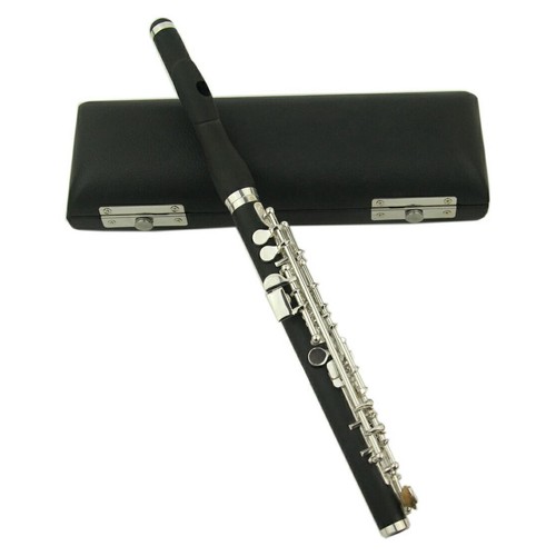 Elegant piccolo flute - flute, set