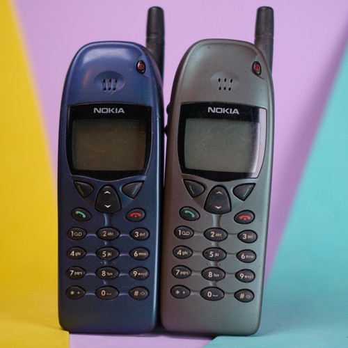 Two working nokia 6110 - working,